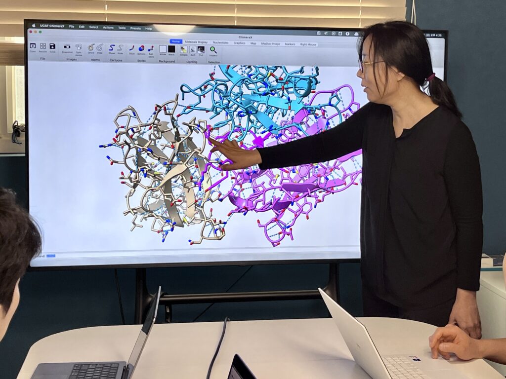 Pioneering Precision: How South Korea's Galux is Redefining Antibody Discovery with AI