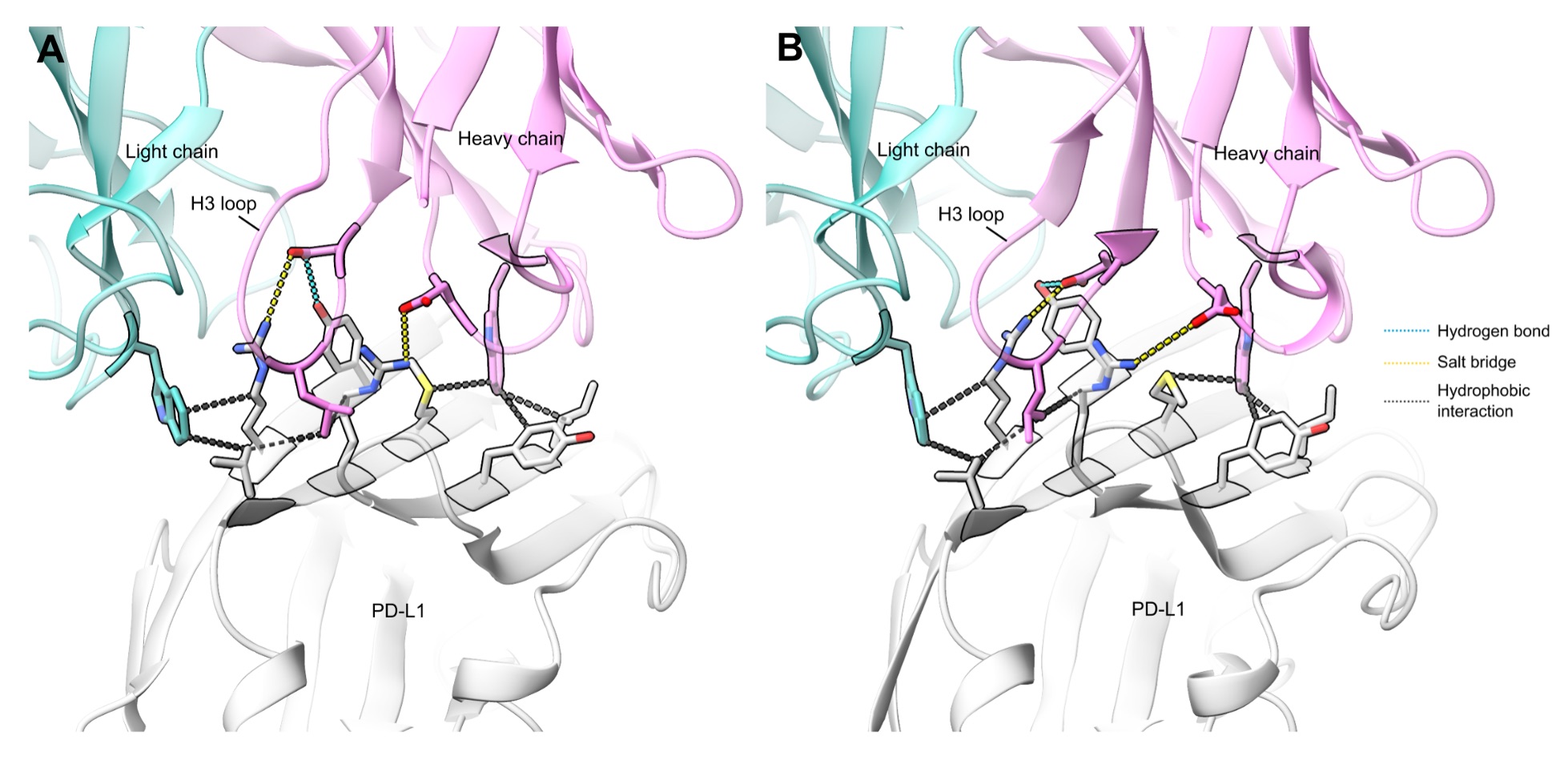 갤럭스, AI로 세상에 없던 항체 설계 성공… 원자 수준의 정밀 설계로 다양한 질병 치료제 개발 가능성 입증