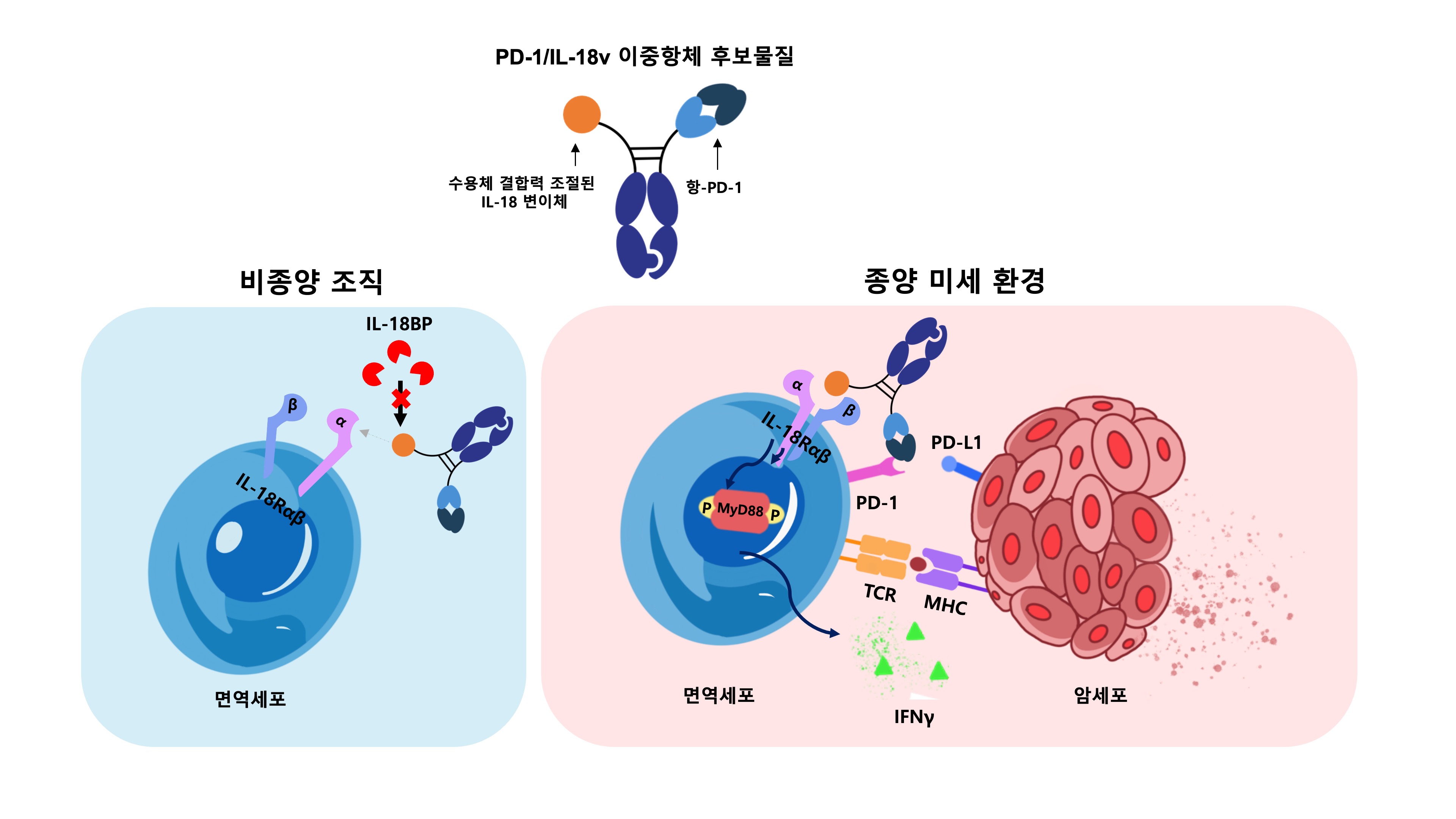 갤럭스, AI 설계 혁신 신약 이중항체 면역항암제 국가신약개발사업 선정